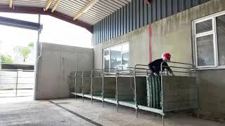 Calf Pens Assembly