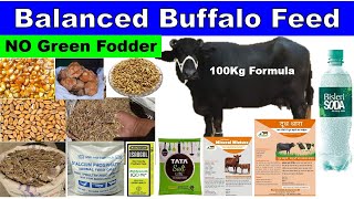 How to Make Buffalo Feed Without Green Fodder | Concentrate feed for  buffalo for high milk - YouTube