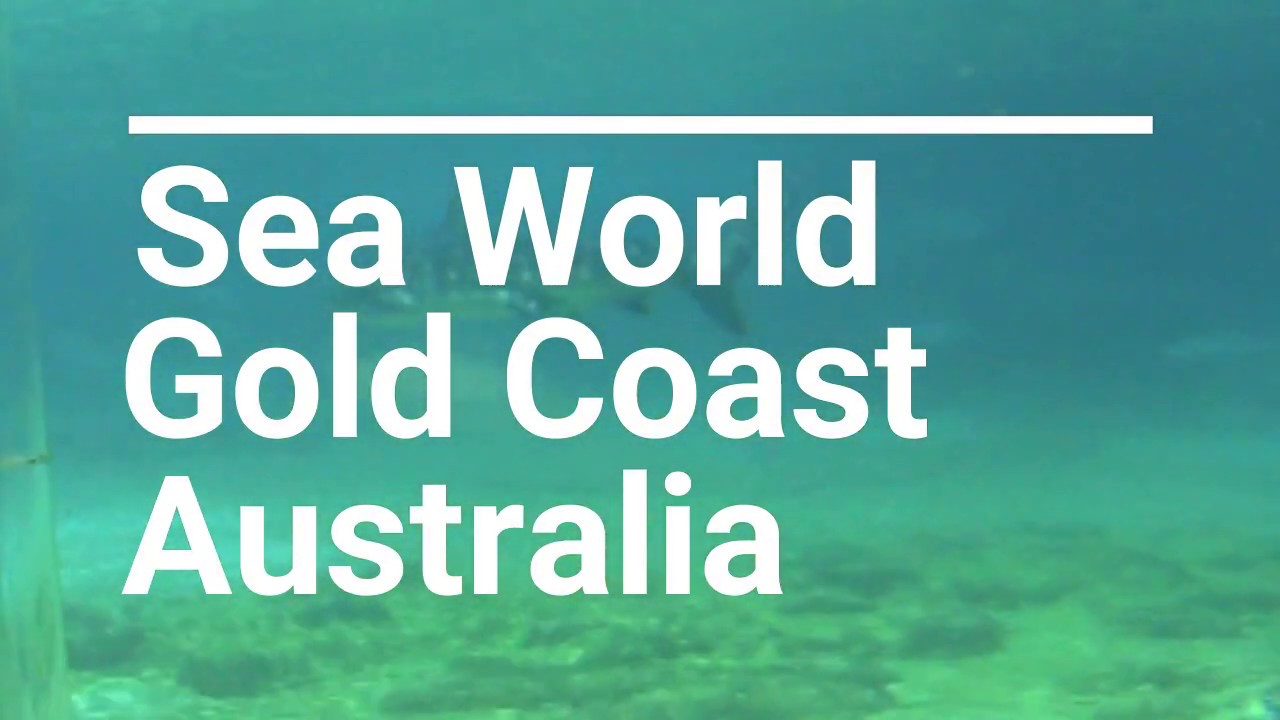 Amazing Aquarium Gold Coast Australia!!! YouTube