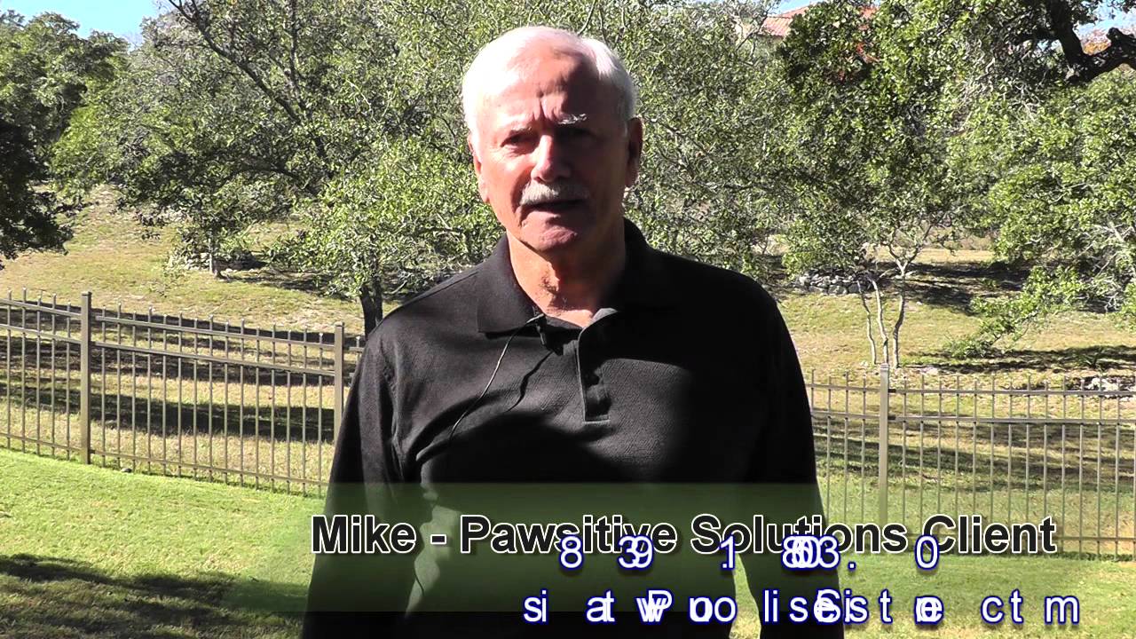 San Antonio Dog Trainer Client Tells His Experience With Pawsitive Solutions sitter italia