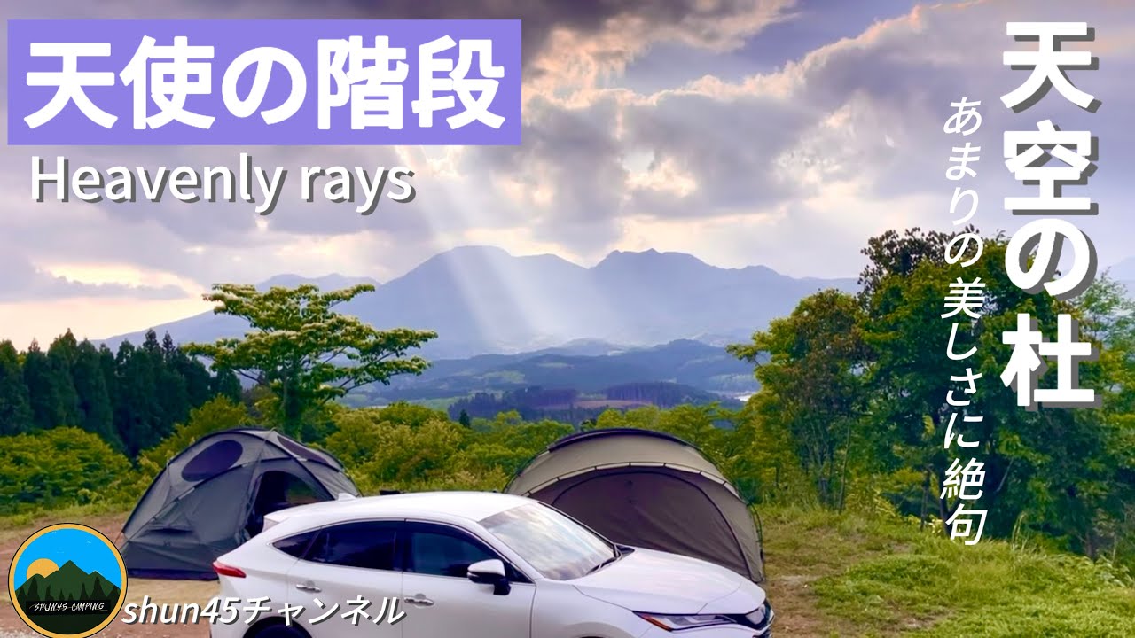 天空の杜と言われる所以がわかった！朝霧を纏う山間の景色には絶句