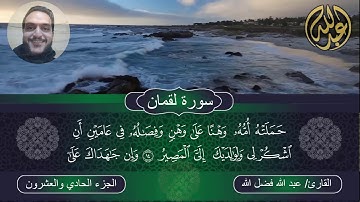 وصايا لقمان لابنه | سورة لقمان | بصوت القارئ عبد الله فضل الله