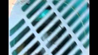 PaveDrain in Action