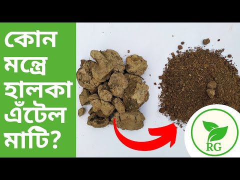 ভিডিও: এঁটেল মাটিতে কি নারকেল জন্মাতে পারে?