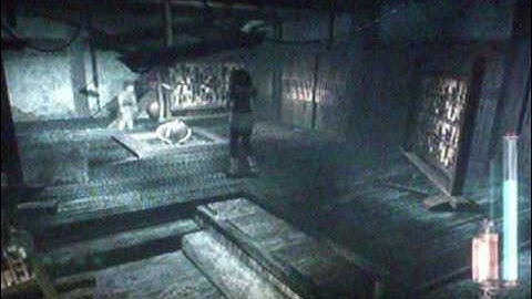 Hide and seek pt. 2 (Fatal Frame 2)