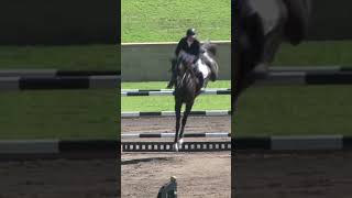 🗓 Date: 06/13/23📌 Location: World Equestrian Center (1390 NW 80th Ave.Ocala, Florida 34482)