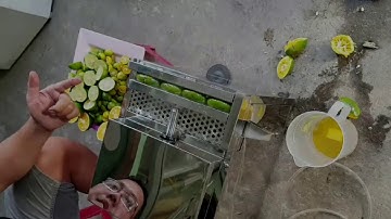 MÁY ÉP NƯỚC CỐT CHANH TẮC