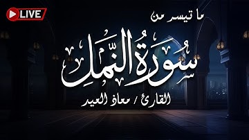 آيات السكينة تريح قلبك وتزيل همومك من سورة النمل - للقارئ معاذ العيد