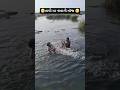 તાપી મા નાવાની મૉજ #gujrati #comedy #family #viral #shots #video 😁 🙏 ♥️ ❤️