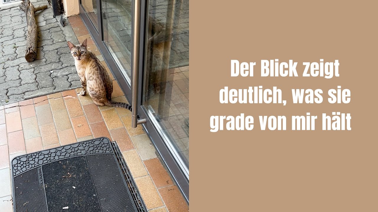 Das wär teuer geworden 