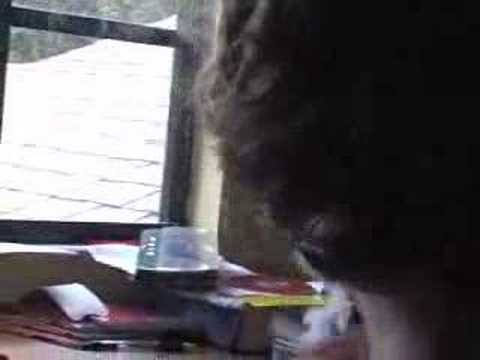 Smoking Scene