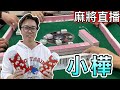 台灣麻將24小時直播🎴皇家柳丁日常