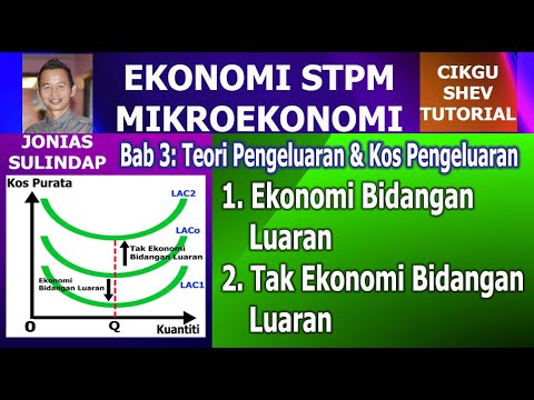 Mikroekonomi STPM: Ekonomi Bidangan Luaran dan Tak Ekonomi Bidangan Luaran