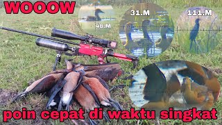 WOOOW #hunting #grouse #hunting here it really doesn't take long to get points