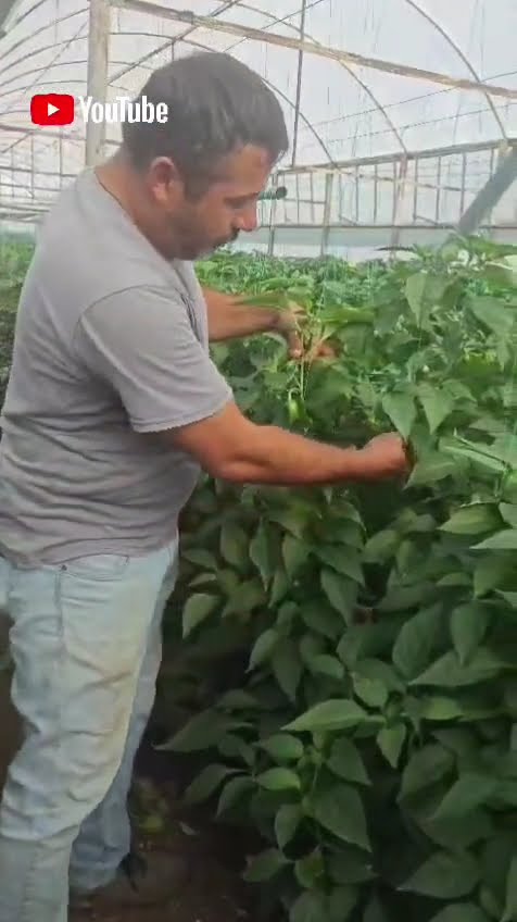 YouTube video kapağı