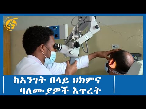 ቪዲዮ: የባራራ እንጨት ሃውስ ጥሩ የውሻ አሰልጣኝ ነበር?