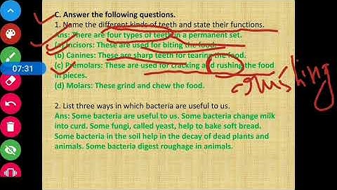 Class 4 Science Chapter 6 Exercise  CBSE Board Teeth And Microbes Part 3- #LearnPlaySchool