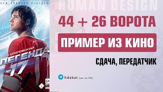 26 и 44 ворота в Дизайне Человека. Успешные отношения в 26 и 44 воротах — Human Design