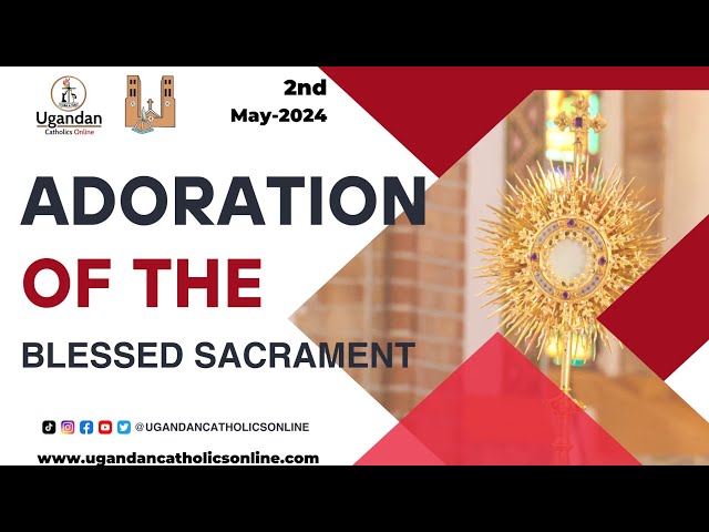 Adoration of the Blessed Sacrament |  2nd- May -2023 class=