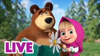 🔴 LIVE! Maşa İle Koca Ayı 🧘♀️ Sakin Ol ve... 🫖📖 Masha and the Bear