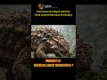 “Tank hidup pemecah tulang purba.” 💥 #youtubeshorts #fyp #dinosaur #viralvideo #followme