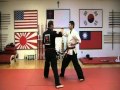 One step sparring 8