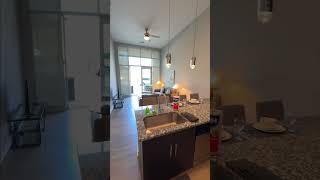 Step Inside Abberly NoDa Vista | Charlotte Apartment Tour