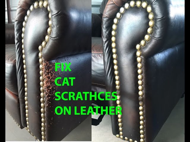 Easy Cat Scratch Leather Repair You, How Do You Fix Scratches On Leather Furniture