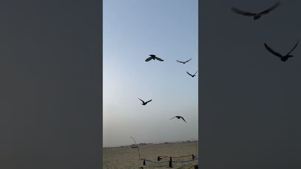 القندي لم اللم. المعجل