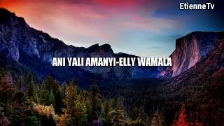 ANI YALI AMANYI -ELLY WAMALA screenshot 3