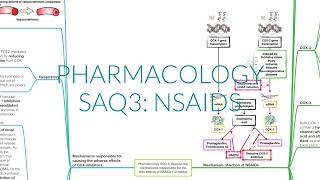 PHARMACOLOGY SAQ 3: NSAIDS