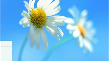 ReactOS and the BasicLite Visual Style