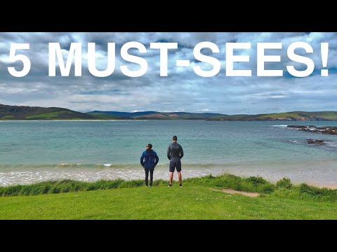 วีดีโอ: คู่มือฉบับสมบูรณ์สำหรับ Catlins บนเกาะใต้ของนิวซีแลนด์