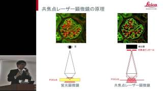 共焦点走査型顕微鏡