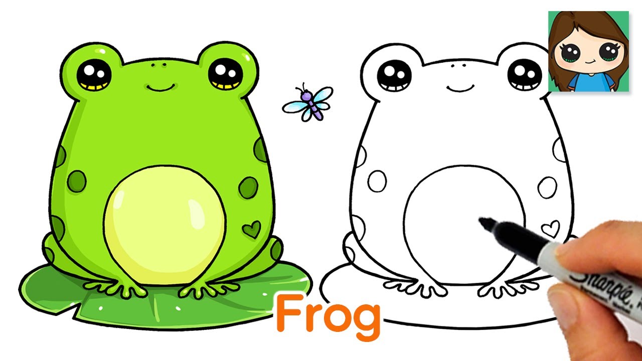 Hình vẽ động vật liễu yếu frog drawing cute Cho trẻ em học tập và giải trí