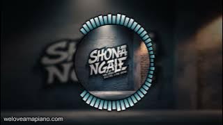 Bama Caboom, Bailey RSA & Iyane Jamdong - Shona Ngale | Amapiano