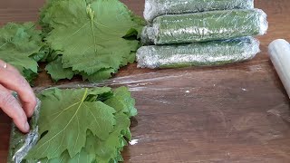 NO SALT ❗ NO BOILING📢HOW TO STORE LEAF IN THE FREEZER 💯