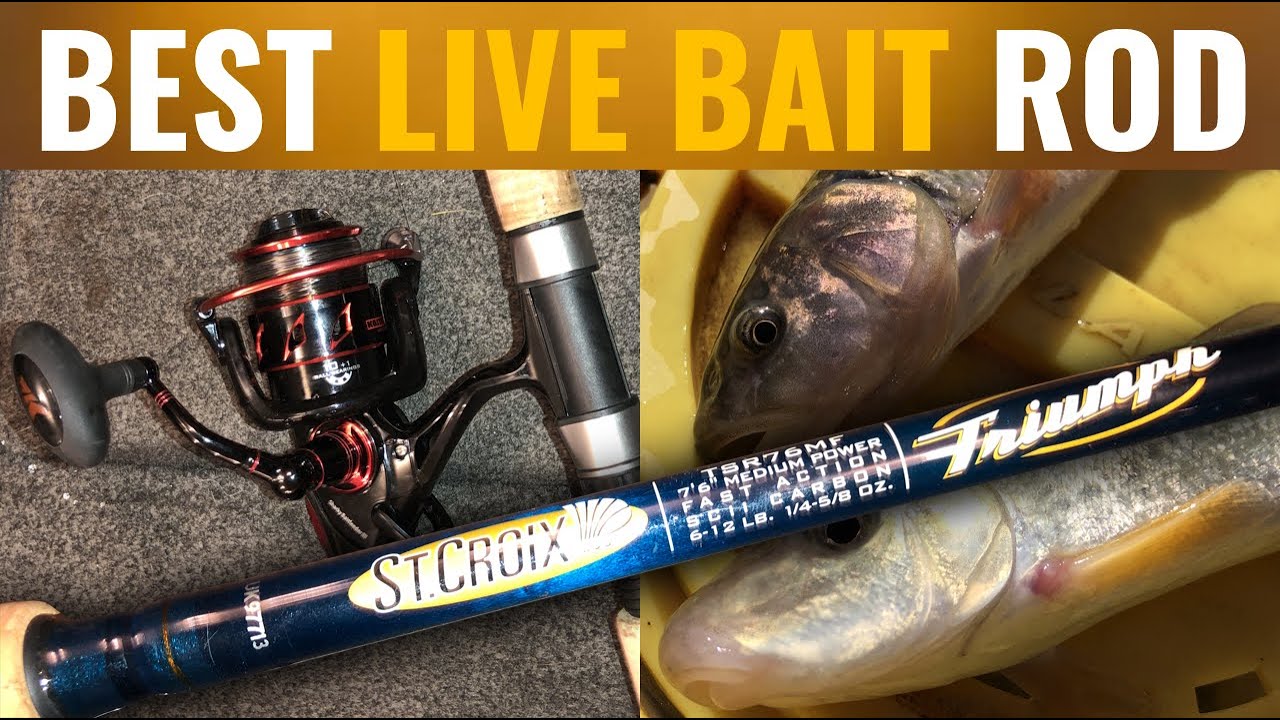 St. Croix Triumph - A Livebait Rod 