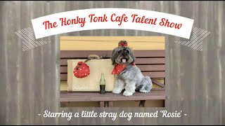 2023 AKC Trick Dog Virtual Competition Entry  Rosie