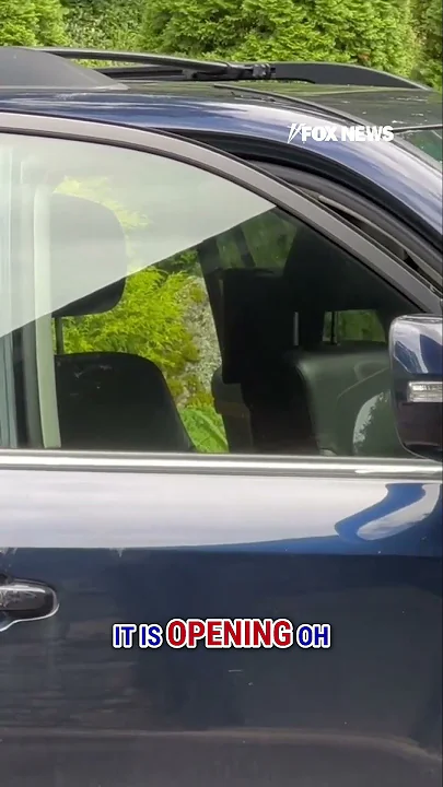CLEVER BEAR: Black bear opens woman’s car doors in driveway #shorts #wildlife #bear #car #crazy #us