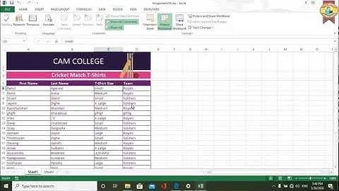 Advance Excel Protect the sheet with password & Restricted Editing Ass 29