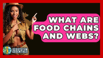 What Are Food Chains And Webs? - Ecosystem Essentials