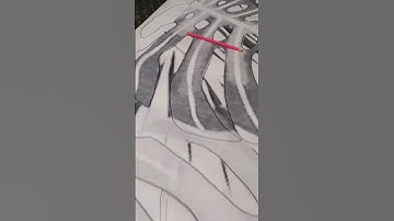 Creating custom canvas area rug Tropical Leaves design