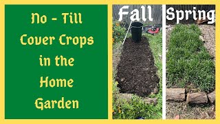 Fall Planting Cover Crops In The Home Garden  No Till Method  Feeding The Life In The Soil