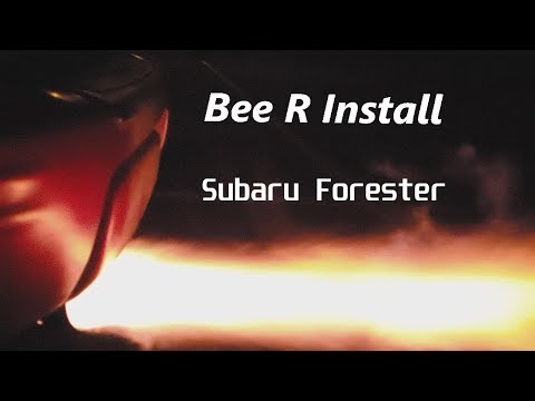 bee-r-install-on-2002-forester