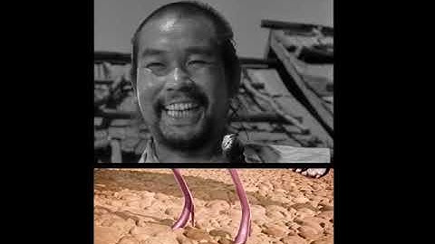 Seven Samurai but it