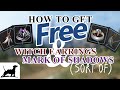 How to get FREE Witch Earrings and Mark of Shadows in Black Desert Online NA/EU  (Sort of)