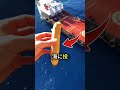 バナナを海に投げた結果… まさかの展開に全員驚愕！ 🌊#shortvideo