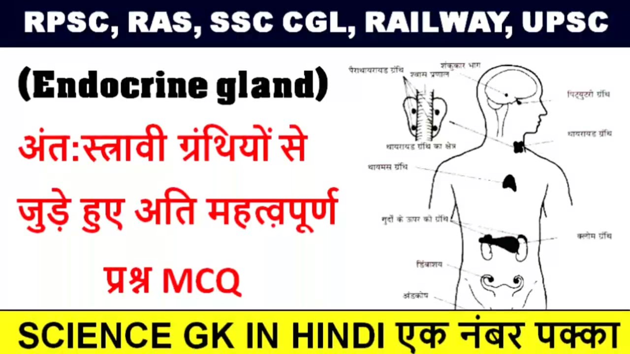 Endocrine glands || अंत स्रावी ग्रन्थियां || endocrine system in hindi ...