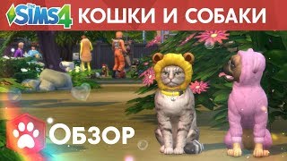 The Sims 4 🐶CAS 🙀 Питомцы. Создаю свою кошку + ОБЗОР создания The Sims 4 🐶CAS 🙀 Питомцы. Создаю свою кошку + ОБЗОР создания